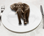 CRM Success Tip_DontEatAnElephant2