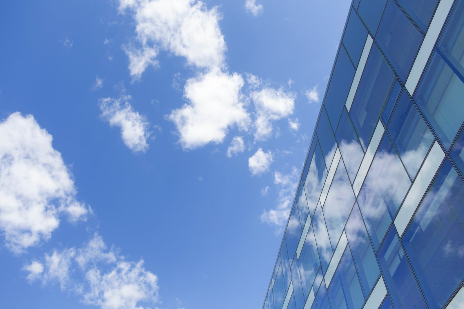 On-Premises Software
